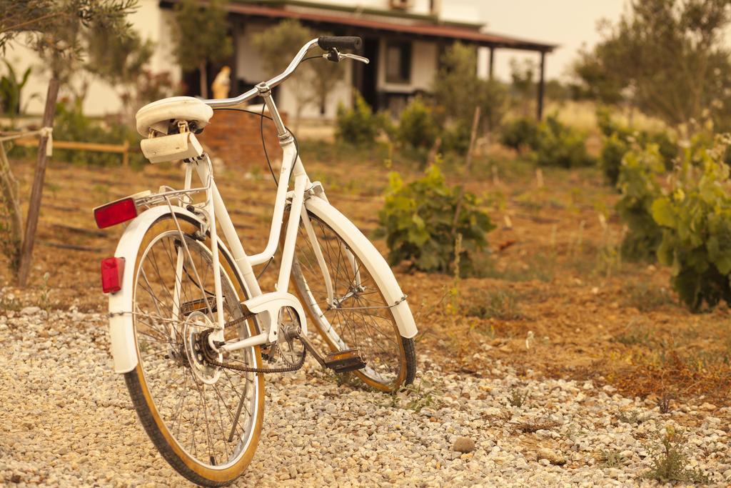 Bagban Bozcaada Bed & Breakfast Bagian luar foto